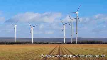 Warum der Windpark Schladen sogar dem Rotmilan gefällt