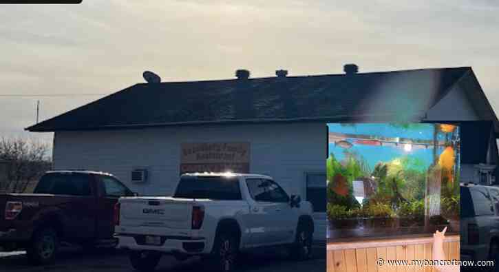 Much-loved tropical fish worth thousands stolen from popular small-town restaurant 