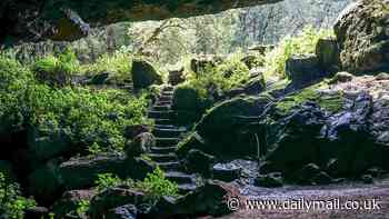Inside 'world's deadliest cave' that could cause next pandemic: Kitum in Kenya gave rise to Ebola and 'eye bleeding' Marburg virus
