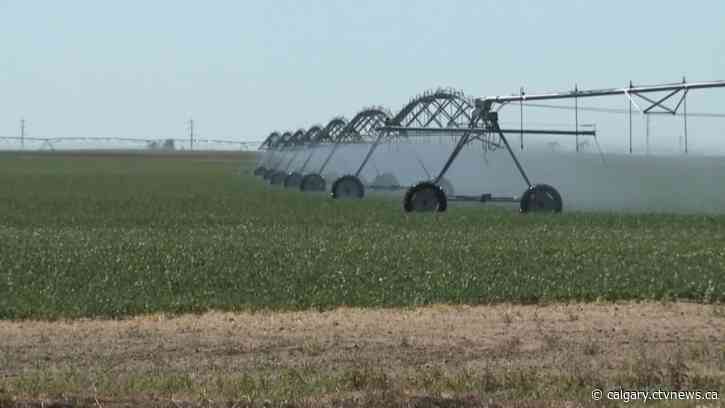 Voluntary water limits put in place in face of possible Alberta drought