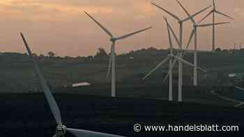 Nachhaltigkeit: Wie Berater den Überblick bei nachhaltigen Fonds behalten