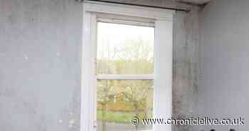 Damp and mould inside Jay and Donna Dalziel's flat in Newcastle