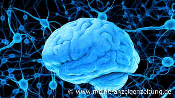 Parkinson-Erkrankung stoppen: Ein Diabetes-Medikament macht jetzt Hoffnung – „wäre eine Sensation“