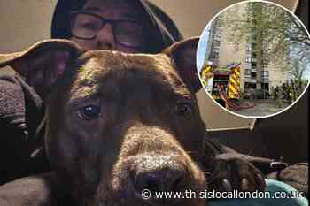 GoFundMe launched for man and dog who lost everything in Erith fire
