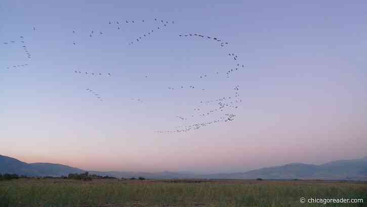 The Chicago Palestine Film Festival is here for eager audiences