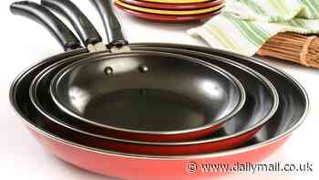 EPA puts two NEW 'forever chemicals' on its danger list - and they're in hundreds of popular cookware and waterproof clothes