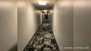 Katzen-Suchbild: Ein Kätzchen ist in den Hausflur entwischt – wissen Sie, wo es ist?