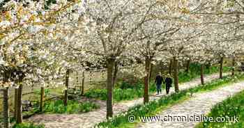 North East weekend weather forecast as Met Office gives verdict on rest of April