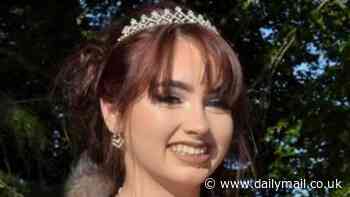 Girl, 17, who took her life in hospital was 'failed by the place supposed to keep her safe' - as scandal-hit NHS mental health trust is fined £200,000 following the deaths of two patients