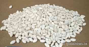 Naloxone-resistant street drug linked to 9 deaths in Eastern Canada seized in Alberta