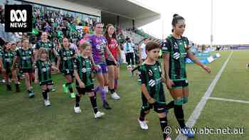 Stadiums can be political footballs, but could built-to-order grandstands solve the problem?