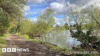 Campaigners' plan to save beauty spot trees