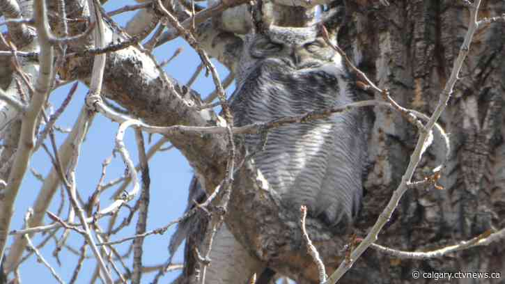 After a cool start, Saturday's set to end up warm and windy