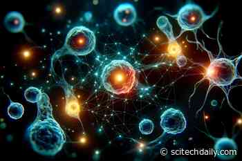 Innovating Cancer Care: Safely Supercharging Immune Cells To Fight Tumors