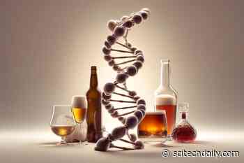 Unlocking the Genetic Codes of Alcohol Consumption