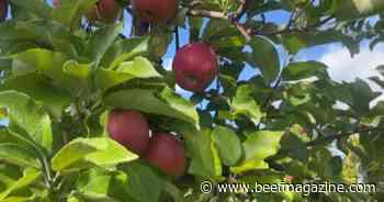 This Week in Agribusiness, April 20, 2024