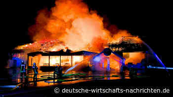 DWN-Interview: Absicherung von Unternehmen – worauf kommt es an?