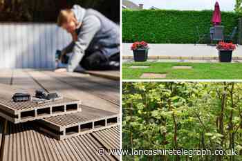 You can be fined in your garden for trimming trees and more