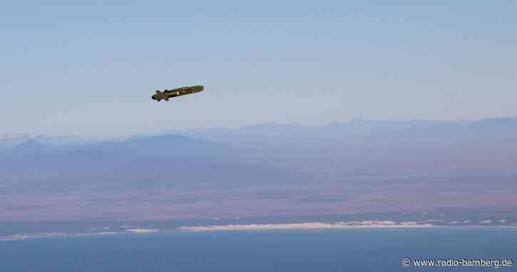 Taurus-Debatte: Schöllhorn äußert Verständnis für Scholz