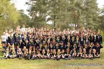 Zeescouts zijn wanhopig op zoek naar vrachtwagenchauffeur voor kampvervoer