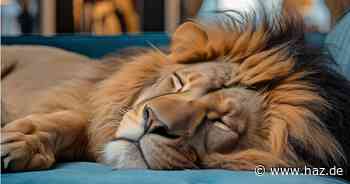 Die Hannover Messe widmet sich der Künstlichen Intelligenz – gut so