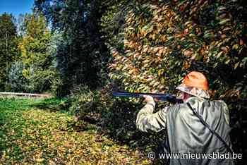 Recordaantal inschrijvingen voor bikkelhard jagersexamen: “Jagen is veel meer dan alleen maar schieten”