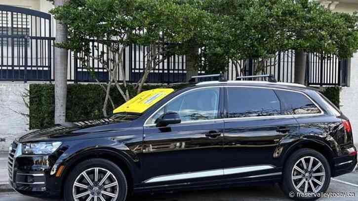 What’s a Barnacle? It’s yellow, sticks and screams if you try to pry it off your car