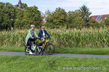 Stadtradeln: Halle tritt wieder in die Pedale