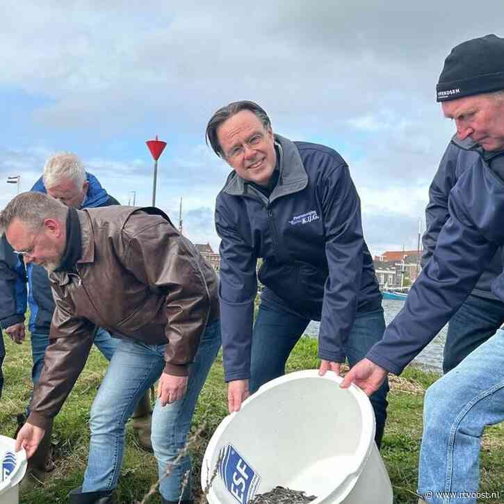 Peurvereniging KIJG ziet dat jaarlijks uitzetten jonge aaltjes helpt bij herstel palingstand