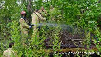 112-nieuws: Gaslek in Zevenbergschen Hoek • takken langs kanaal in brand