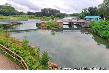 Großer Rettungseinsatz in Paderborn: Schwimmer im Padersee ertrunken?