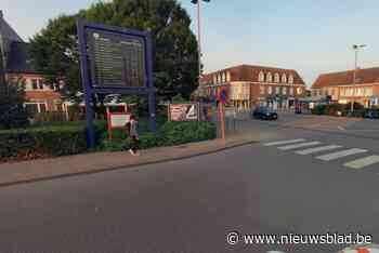 Groen op plein voor station krijgt herinrichting