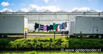 Woonpark voor honderden arbeidsmigranten krijgt steeds meer vorm: dit moet je er over weten