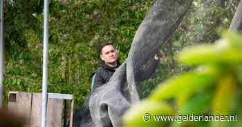 Fruitteler Erik weet niet meer hoe hij de suzukivlieg moet bestrijden: ‘Kersen komen straks uit Spanje’