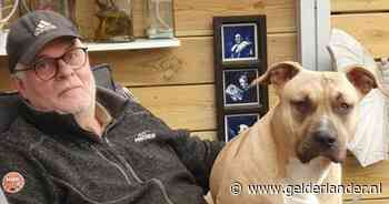 Vrouw moet 18 keer naar de huisarts na bijtwond, toch vindt hondenbaasje het aanlijngebod te streng