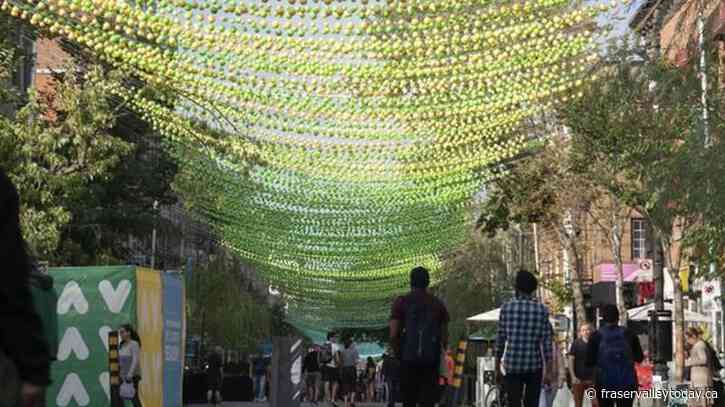 Some improvement to Montreal Village but troubles persist, community members say