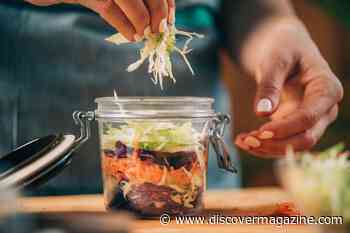 Fermented Foods Sustain Both Microbiomes and Cultural Heritage
