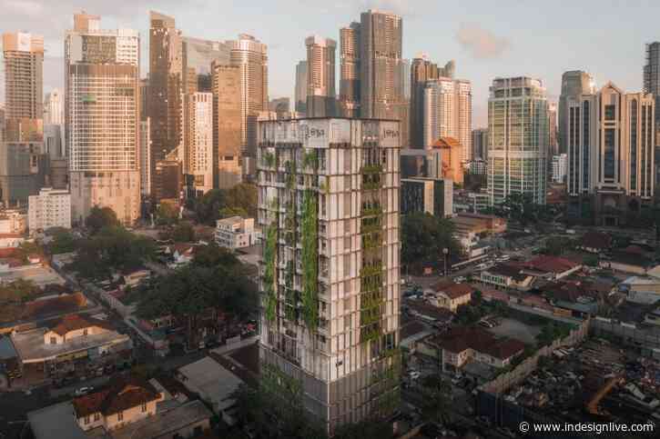 Nature in the Kuala Lumpur sky at Lloyd’s Inn