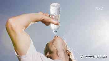 Kantonschemiker: «Mineralwasser in PET-Flaschen ist kein natürliches Mineralwasser mehr»