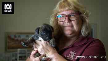 'The cost has just about doubled': Cost of living forcing Australians to surrender their beloved pets