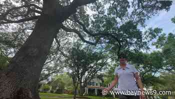 Parkland Estates community raises concerns about flood relief project