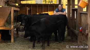 Canadian farmers take precautions as bird flu outbreaks hit U.S. dairy cattle