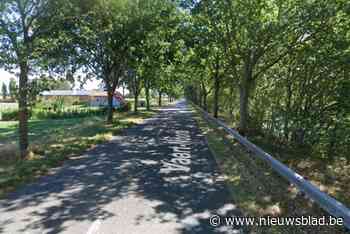 Bestuurder (42) kritiek na zware crash tegen boom met bestelwagen