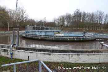 Klärwerk, Hallenbad und Gymnasium sind die größten Energiefresser in Enger