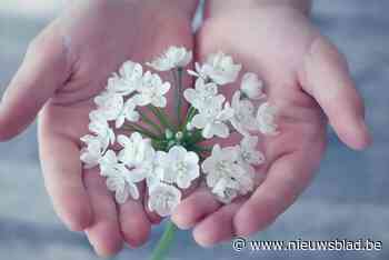 Gemeente opent LEIF-punt voor vragen rond euthanasie en palliatieve zorg