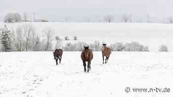 Die Wetterwoche im Schnellcheck: Erst Schnee und Frost, dann gibt es Hoffnung