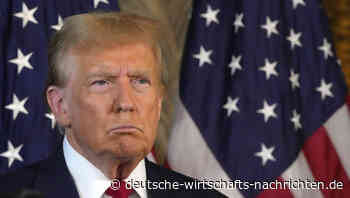 Mehr Souveränität wagen: Wie Deutschland sich auf eine zweite Amtszeit Trumps ́vorbereiten sollte