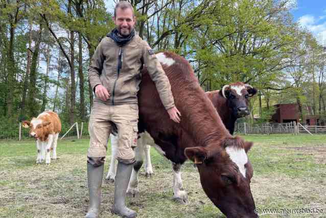 Boer klaagt gebrek aan slachthuizen aan: “Korte keten? Ik moet met schapen naar Luik of Zele rijden”