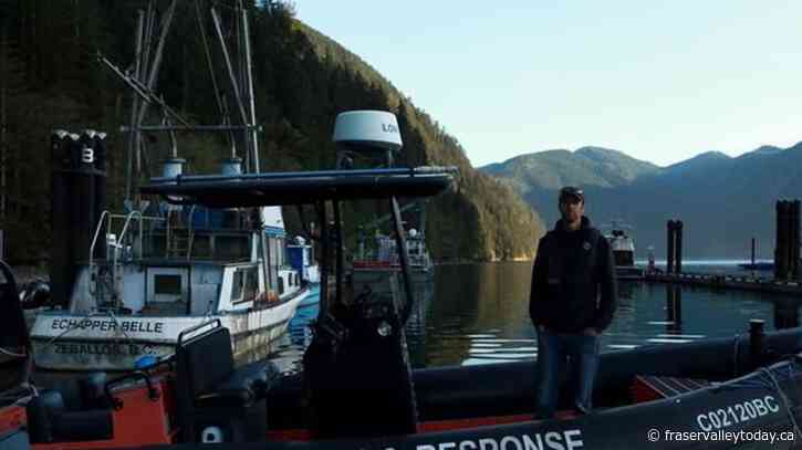 Whale experts confident orca calf will survive, find family if rescue plan succeeds