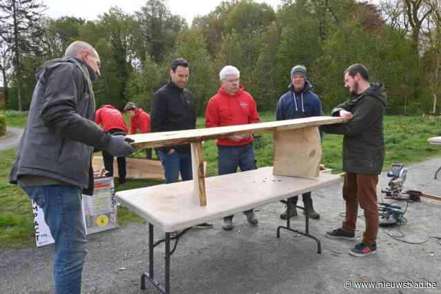 Gekapte kastanjebomen keren terug naar parkdreef als zitbank of nestkast: “Mooie symbolische actie”